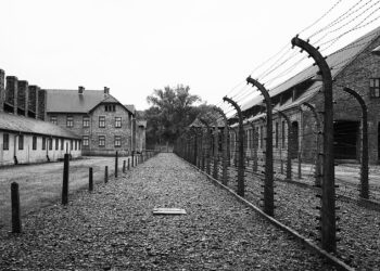 Alberto Capria: «Auschwitz-Birkenau 80 anni dopo tra commozione e turbamento»