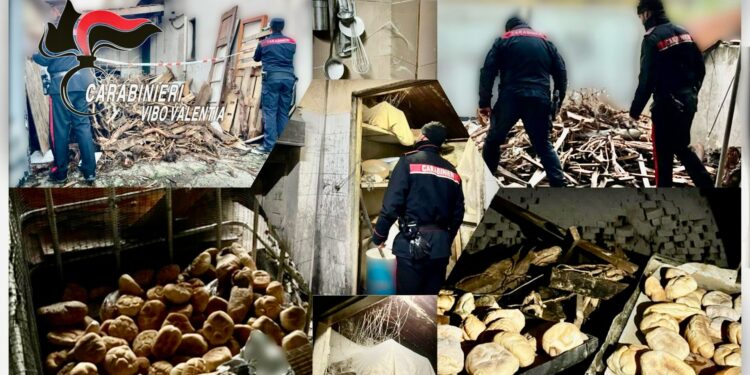Vibo Marina. Gravi irregolarità in un panificio, attività sospesa ma il titolare prosegue: denunciato – Foto