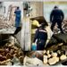 Vibo Marina. Gravi irregolarità in un panificio, attività sospesa ma il titolare prosegue: denunciato – Foto