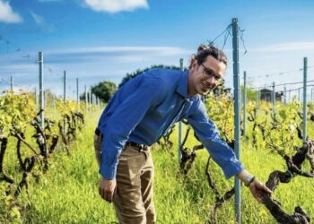 Brattirò. Renato Marvasi, il viticoltore che ama la pop art e vuole la certificazione Doc per i vini vibonesi