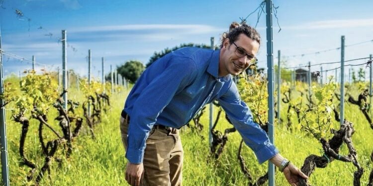 Brattirò. Renato Marvasi, il viticoltore che ama la pop art e vuole la certificazione Doc per i vini vibonesi