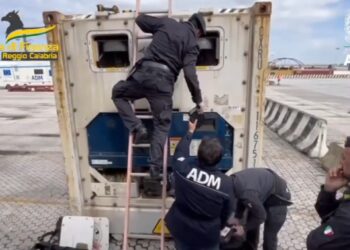 Le Fiamme Gialle in azione a Gioia Tauro. Nel porto sono state sequestrati 126 milioni di euro in droga