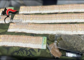 Trovato dai carabinieri in possesso di contanti e droga: un arresto nel Vibonese