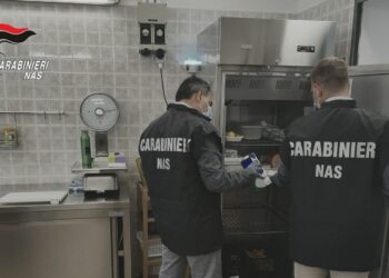 I carabinieri del Nas in azione in una delle attività sottoposte a controllo