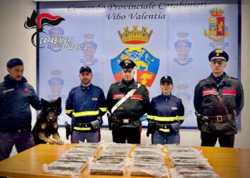 Sorpreso in auto con oltre 20 chili cocaina per un valore di circa 5 milioni: un arresto nel Vibonese