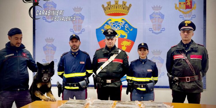 Sorpreso in auto con oltre 20 chili cocaina per un valore di circa 5 milioni: un arresto nel Vibonese