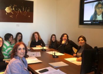 Riunione a Vibo: il Comitato per l’imprenditorialità femminile traccia l’agenda di interventi per il 2025