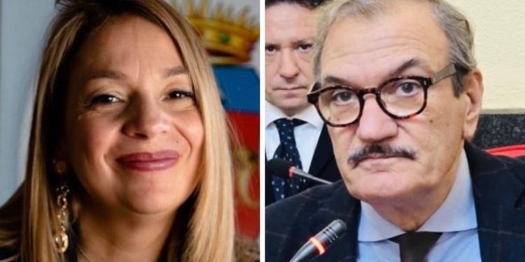 «Quadro allarmante a Vibo e frazioni». Durissima FI sull’amministrazione Romeo: «Sono come gli struzzi»