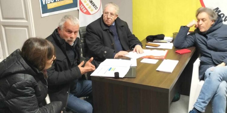 Vibo. Pini di piazza Salvemini, il M5S “avverte” Monteleone: «No al taglio indiscriminato». E poi…