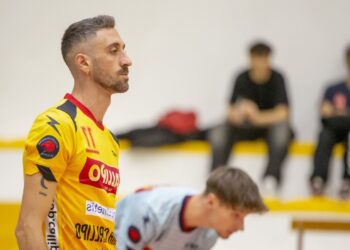 Pallavolo Serie B maschile, la Tonno Callipo si prepara ad ospitare Papiro Fiumefreddo