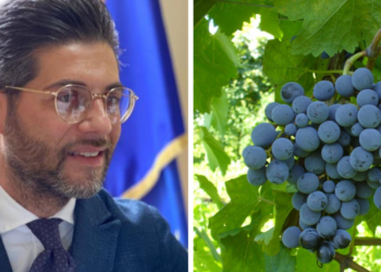 Il presidente del Gal Terre Vibonesi, Vitaliano Papillo