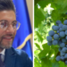 Il presidente del Gal Terre Vibonesi, Vitaliano Papillo