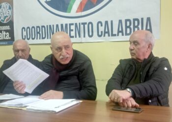 Bando per esperto al Comune di Vibo. Scianò dopo il no all’accesso agli atti: «Non ci fermiamo, brutto metodo»