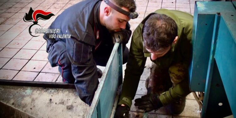 Operazione nel Vibonese: denunce, chiuso un bar e sanzioni per irregolarità igienico-sanitarie