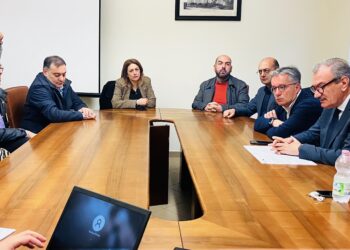 Ambito territoriale Vibo. Tutti soddisfatti per le nuove assunzioni: «Più strumenti per aiutare»