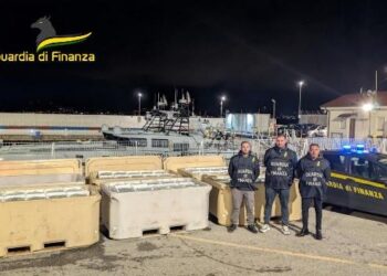 Il sequestro di novellame operato dalla Guardia di finanza
