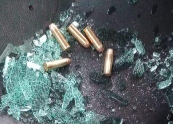 I proiettili trovati all'interno di un mezzo di una cooperativa del Vibonese