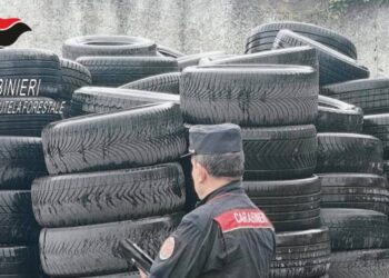 L'intervento dei Carabinieri del Nipaaf