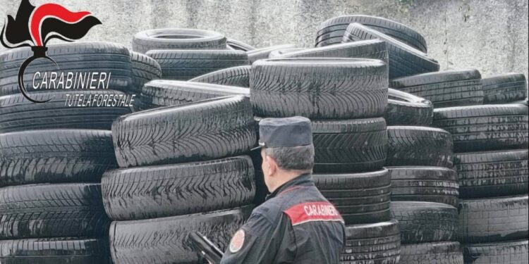 L'intervento dei Carabinieri del Nipaaf