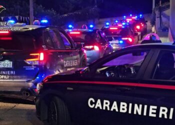 Il blitz dei carabinieri in Calabria