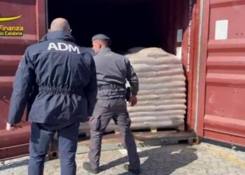 La Guardia di finanza impegnata nel sequestro record al porto di Gioia Tauro