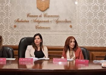 Camera di commercio di Catanzaro-Crotone-Vibo: bando a favore dell’imprenditorialità femminile