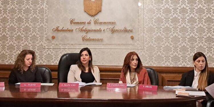 Camera di commercio di Catanzaro-Crotone-Vibo: bando a favore dell’imprenditorialità femminile