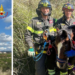 Zambrone, cavallo precipita in un dirupo: salvato grazie all’intervento dei vigili del fuoco