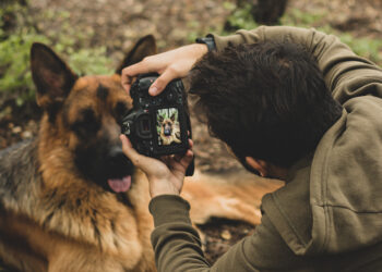 Santa Domenica di Ricadi, al via la terza edizione del concorso fotografico #Animali intorno a noi