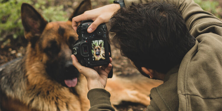 Santa Domenica di Ricadi, al via la terza edizione del concorso fotografico #Animali intorno a noi