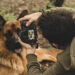 Santa Domenica di Ricadi, al via la terza edizione del concorso fotografico #Animali intorno a noi