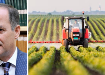 Distretto del Cibo Vibonese: Antonio Leonardo Montuoro eletto nuovo presidente