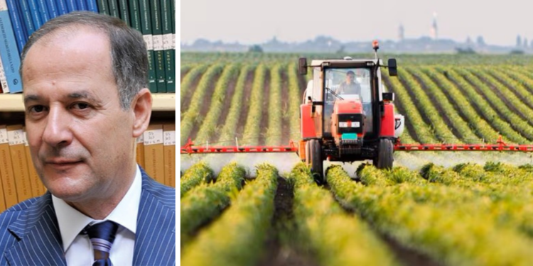 Distretto del Cibo Vibonese: Antonio Leonardo Montuoro eletto nuovo presidente