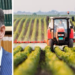 Distretto del Cibo Vibonese: Antonio Leonardo Montuoro eletto nuovo presidente