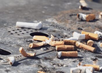 Ambiente, Plastic Free fa tappa a Vibo Valentia: liberare la città dai mozziconi di sigaretta