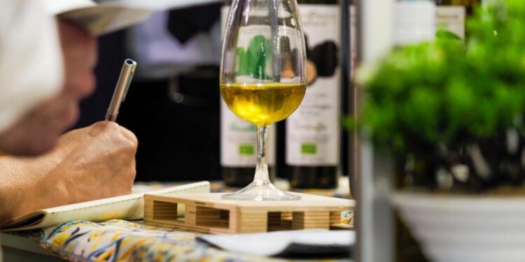 Fiera internazionale dell’olio d’oliva di Verona: dodici aziende calabresi attese al Sol2Expo