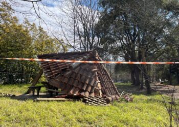 Vibo. La denuncia di Rifondazione: «Degrado e abbandono al Parco delle Rimembranze» – Foto