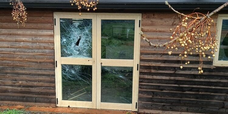 Parco urbano di Vibo abbandonato e vandalizzato, nuovo appello dei cittadini alle istituzioni – Foto