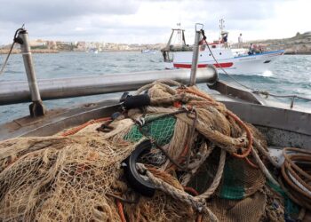 Alla Regione si insedia il Tavolo azzurro: strategie per sostenere il futuro della pesca calabrese