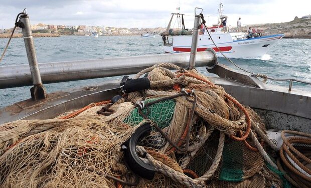 Alla Regione si insedia il Tavolo azzurro: strategie per sostenere il futuro della pesca calabrese