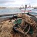 Alla Regione si insedia il Tavolo azzurro: strategie per sostenere il futuro della pesca calabrese