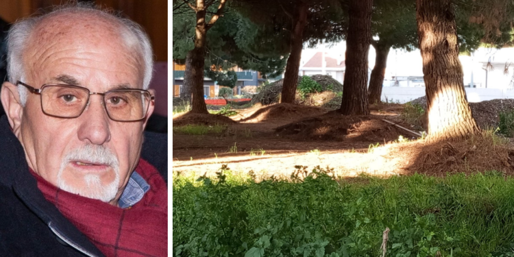 Vibo. Alberi di piazza Salvemini, Sinistra italiana ne ha per tutti: vecchi e nuovi amministratori