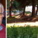 Vibo. Alberi di piazza Salvemini, Sinistra italiana ne ha per tutti: vecchi e nuovi amministratori