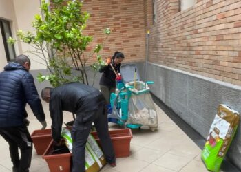 Comune di Vibo. La Protezione civile ripulisce e abbellisce l’androne del Municipio – Foto