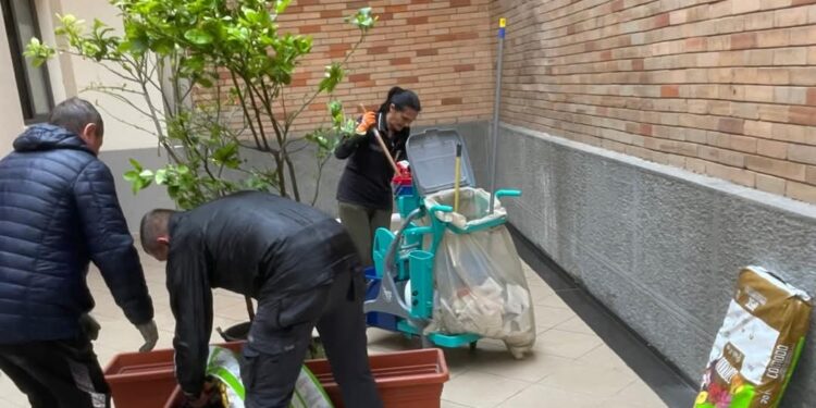 Comune di Vibo. La Protezione civile ripulisce e abbellisce l’androne del Municipio – Foto