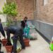 Comune di Vibo. La Protezione civile ripulisce e abbellisce l’androne del Municipio – Foto