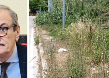 Vibo. Terreni privati abbandonati, pugno duro di Romeo: imposta la pulizia, multe ai trasgressori