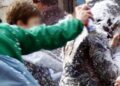 Carnevale 2025, il Comune di Vibo Valentia vieta le bombolette spray: multe salate ai trasgressori
