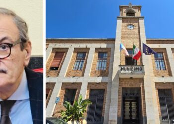 Vibo. Il sindaco Romeo nomina il professionista esterno che lo affiancherà: ecco di chi si tratta