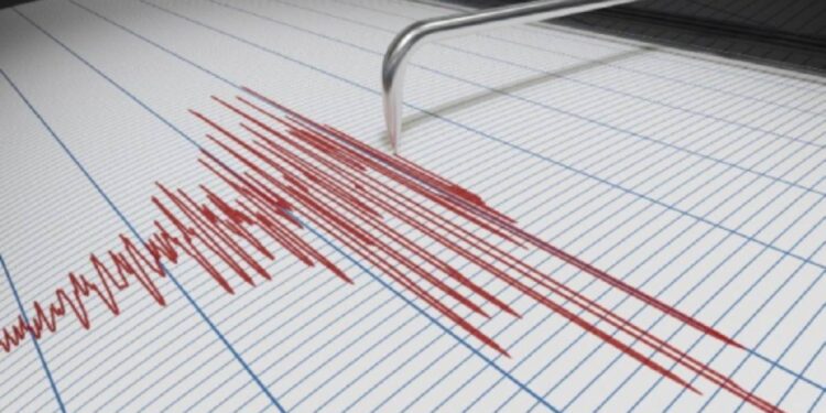 Un sismografo che registra le scosse di terremoto